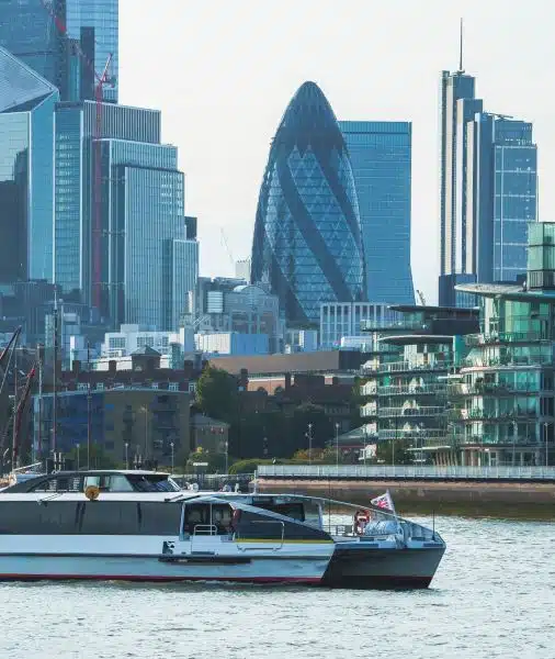 croisière sur la thames et tour de londres ()